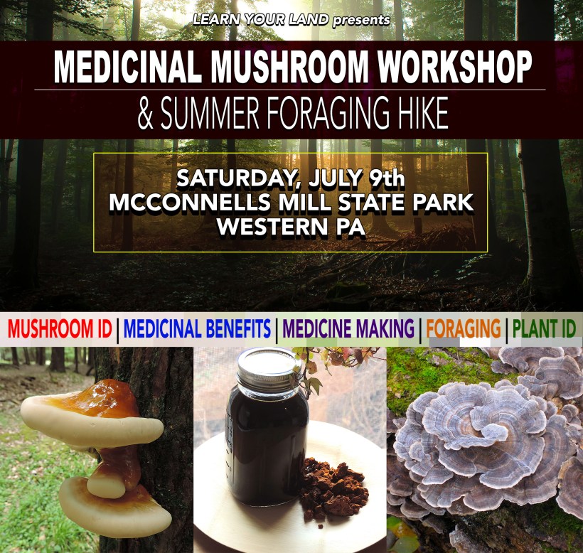 medicinalmushroomevent2016
