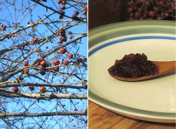 crabapplewildfoodismvert