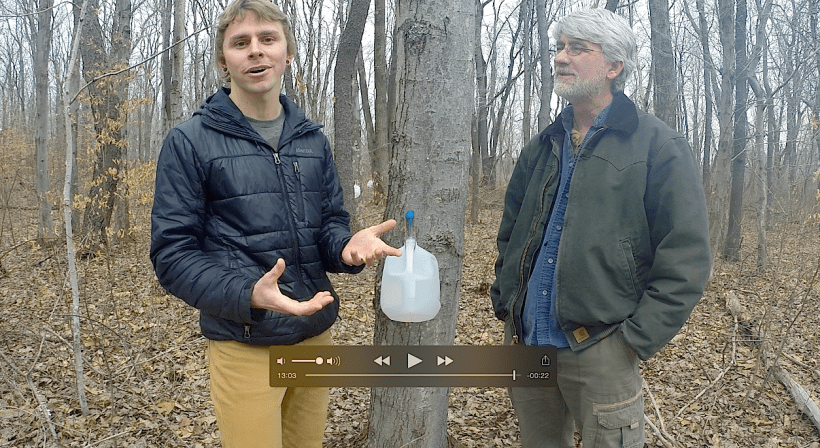 adampatadamswildfoodism