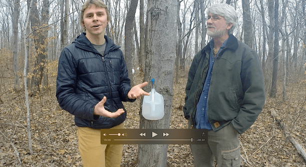 adampatadamswildfoodism